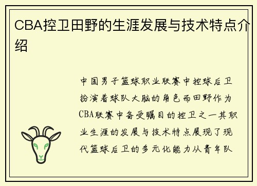 CBA控卫田野的生涯发展与技术特点介绍